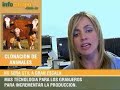 CLONACION DE ANIMALES