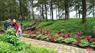 Hijab Indonesia Y