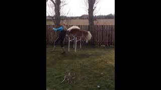 Mini Pony - Big Jump