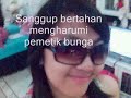 Setangkai Bunga Chika Bandung images Setangkai Bunga Chika Bandung