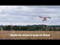 Le semis de couverts végétaux avant récolte avec un drone