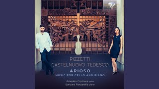 Figaro Fantasy on "Il barbiere di Siviglia"