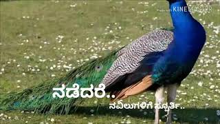 Nakkare Chandranige Letest Song