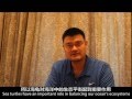 Yao Ming's Marine Turtle Conservation Message
