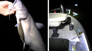 Catching Catfish on JUGS - May 2021