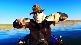 Dave Scadden's Dragonfly XT1 on the Berry
