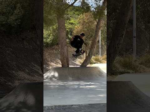 Vincent Matheron Through The Trees!
