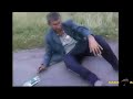 Faze Tari Cu Betivi Mori De Ras images Faze Tari Cu Betivi Mori De Ras