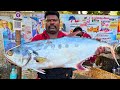 KASIMEDU 🔥 SPEED SELVAM | BIG QUEEN TREVALLY FISH CUTTING VIDEO | IN KASIMEDU | FF CUTTING 🔪