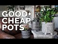 Cheap Plant Pots: HomeGoods vs. T.J.Maxx vs. DollarTree!