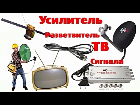 Как ухаживать за дыней в домашних условиях Как ухаживать за дыней в домашних условиях