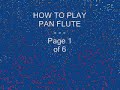 Learn How to Play Pan Flute - Page 1 of 6 - Bajan Pied Piper