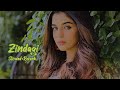 Zindagi (Full Song) - Slowed+Reverb Amrinder Gill | Love Punjab | #Soul_Tune75