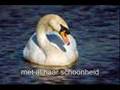 Zwanen - Justin Hayward - Forever Autumn Video