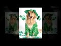 Blessed Wishes! - Happy St. Patrick's Day ecards - St. Patrick's Day Greeting Cards