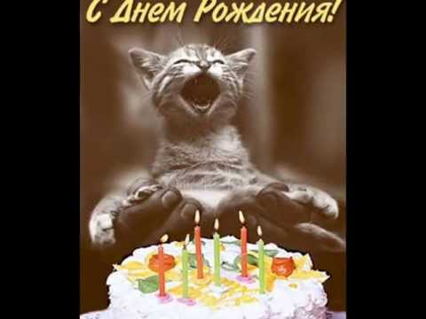 Горячие головы с днем рождения Горячие головы с днем рождения
