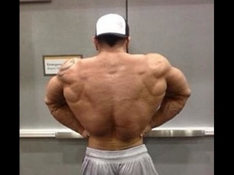 Bodybuilding steroid progress