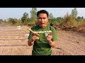ระบบน้ำหยด