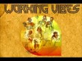 Working Vibes - Lo gestiscono