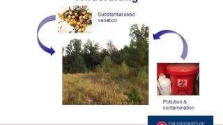 How A Great Supplement Is Born Dr. David Colby