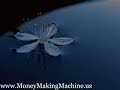 FREE See How I Made $3500 In Less Than 7 Days Work at Home
