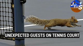 A0wCgq2Ro1M Video Image