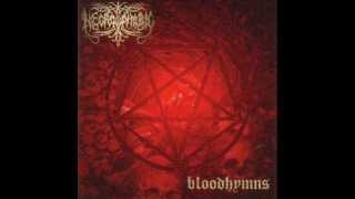 Watch Necrophobic Cult Of Blood video