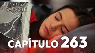 Flores De Sangre Capítulo 263 Kan Cicekleri Subtítulos En Español