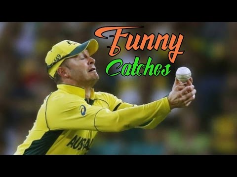Top 10 Funny Catches in Cricket History Ever HD™