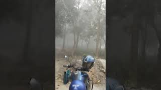 Jangal Mein Mangal Karenge