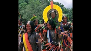 Brève Présentation Des Indiens Kayapo Du Brésil Central Par Gustaaf Verswijver