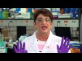 Simple Approaches To Spe Method Development images Simple Approaches To Spe Method Development