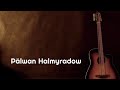Pälwan Halmyradow   Bagyşla Gitara aýdymy