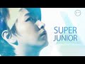 140804 Super Junior All About Super Junior Full DVD3