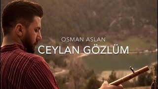 Osman Aslan — CEYLAN GÖZLÜM