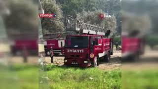 Fethiyedeki Yangın Kısmen Kontrol Altına Alındı