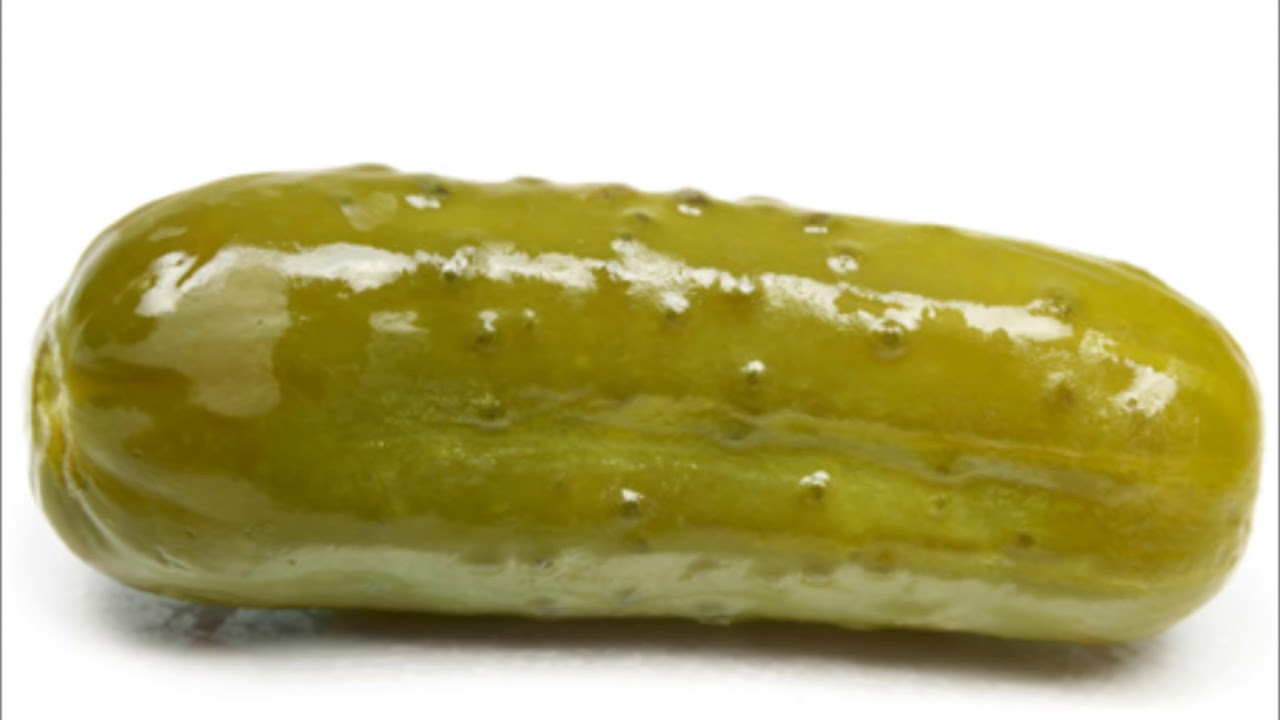 Midget sweet pickle gherkin