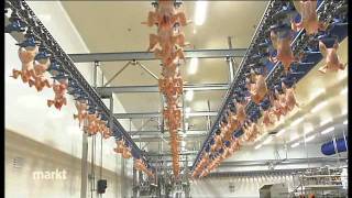 Antibiotika in Geflu?gelfleisch - Resistente Keime