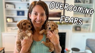Frankie & Pepper's Puppies Are Learning How To Overcome Their Fears