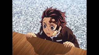 Demon Slayer Corps Approval For Nezuko,The Hashiras Meetingdemon Slayer Kimetsu No Yaibagottum