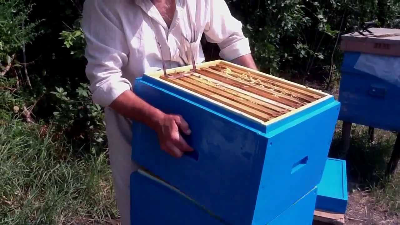 Ульи из ппу своими руками Ульи из ппу своими руками