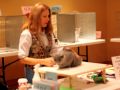 TICA CanAm show: Lindajean Grillo's kitten final