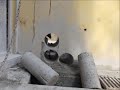 karotçu