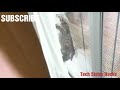 😚😘cute whatsapp status video funny activity of cute cats heart touching 😚😍💖😍