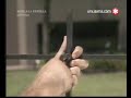 EL COSTILLAR