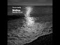 WOLLION - Santa Cruz - FOUR:TWENTY RECORDINGS