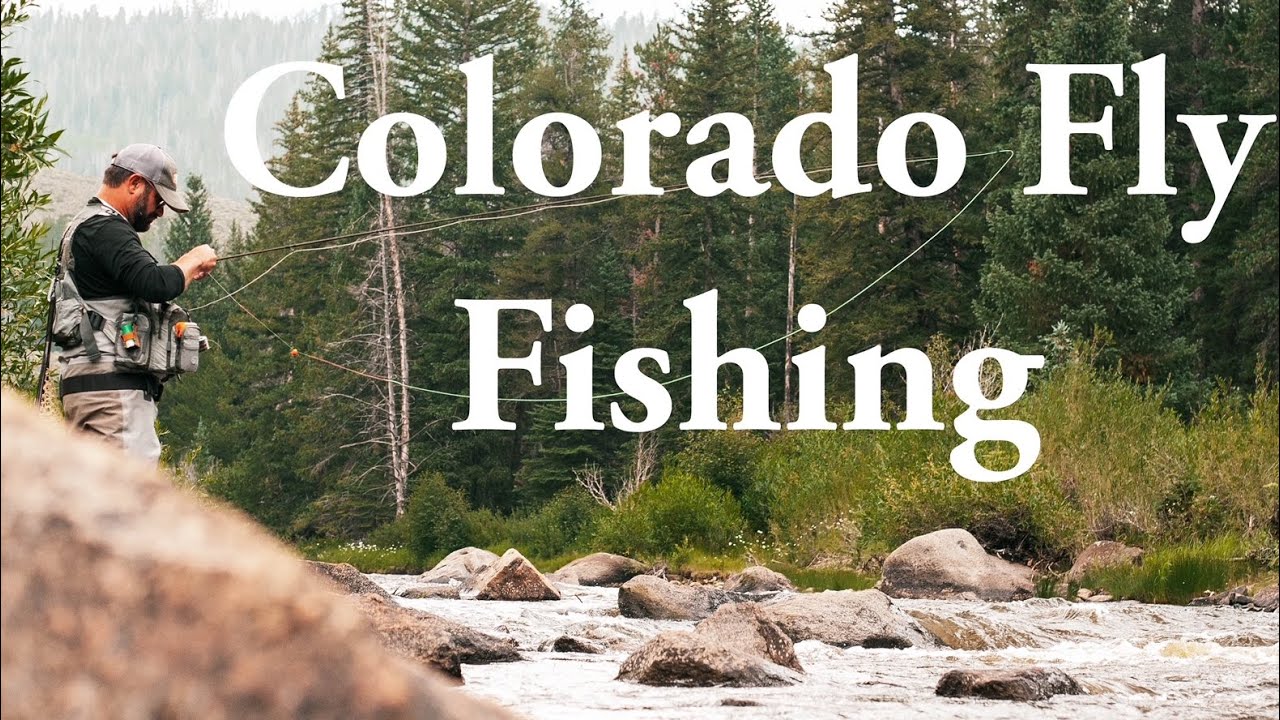 Fly Fishing Videos