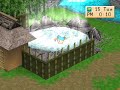 Harvest Moon (series)