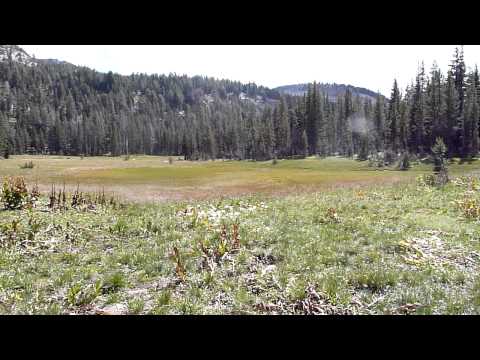 Gazing on Halfmoon Meadows from the Ten Lakes trail Video Gazing on Halfmoon Meadows from the Ten Lakes trail Video