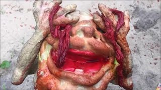 Boglins Hate the Solar Eclipse